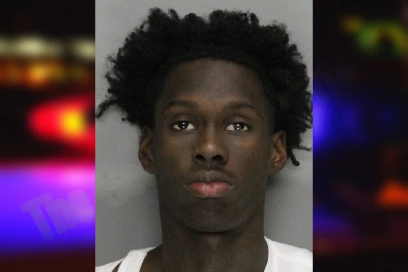 Mohamed Diaby Mugshots