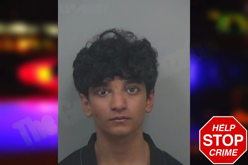 Mohammed Saber Mugshots
