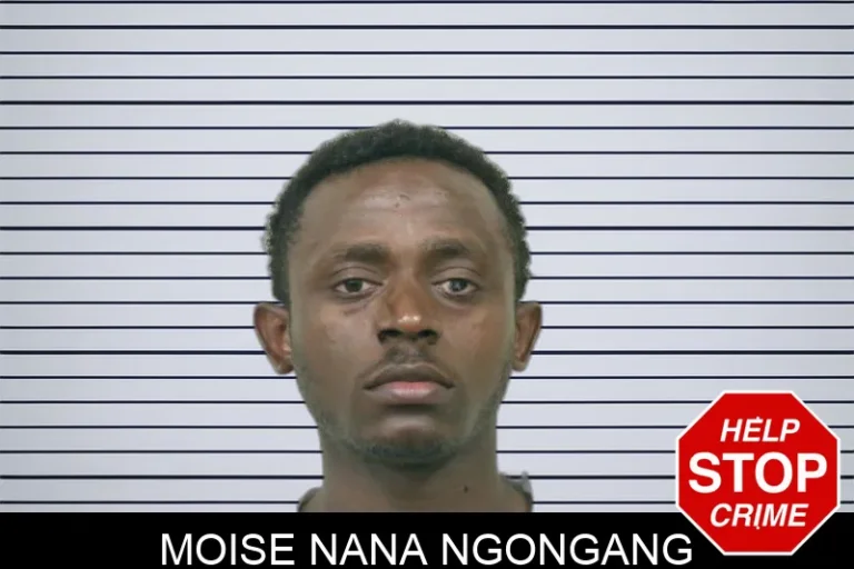 Moise Nana Ngongang