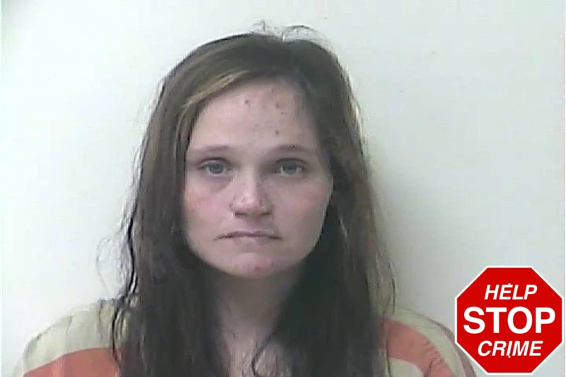 Mollie Johnson Mugshots