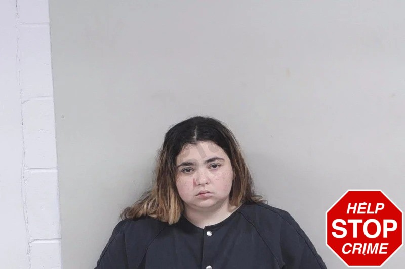 Monica Ortiz Mugshots