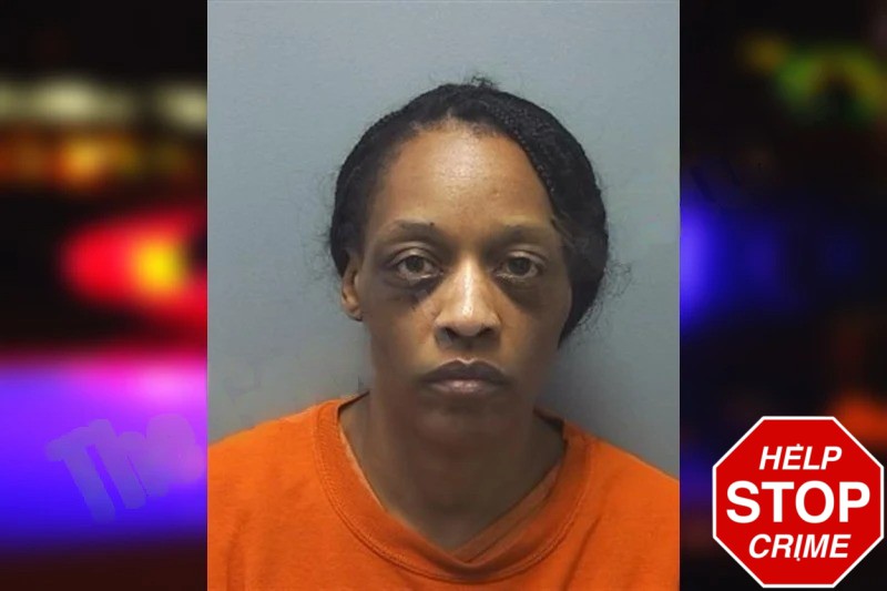 Monica Richardson Mugshots