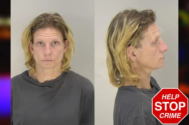 Monica Rihm mugshot