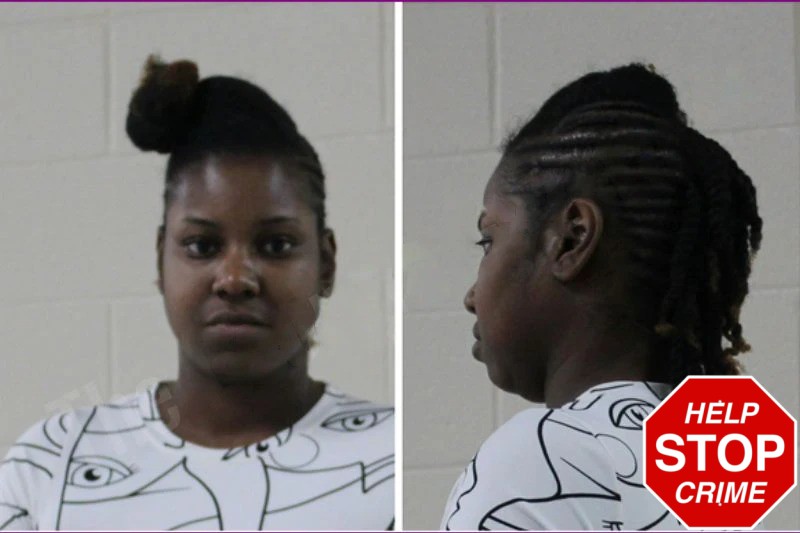 Monica Shepherd mugshot