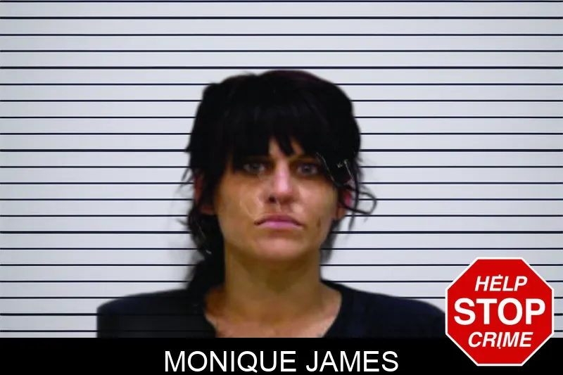 Monique James mugshot – Bartow County , Georgia Monique James mugshot