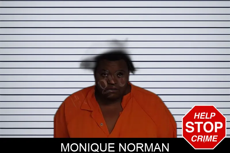 Monique Norman Mugshots