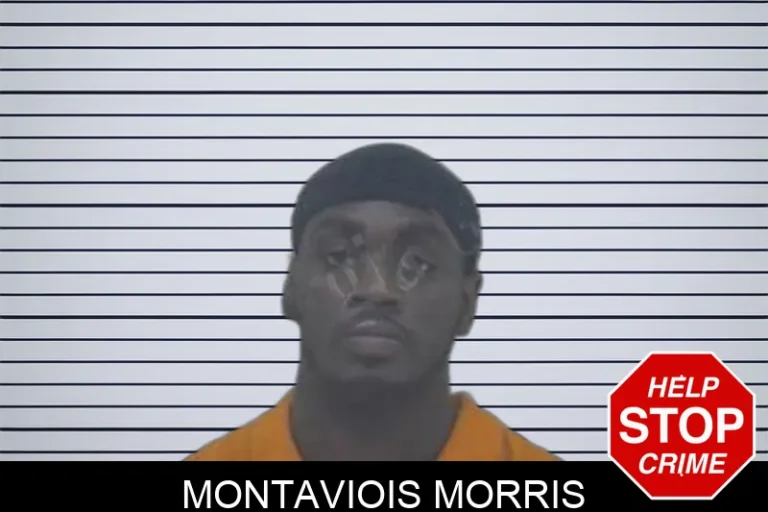Montaviois Morris