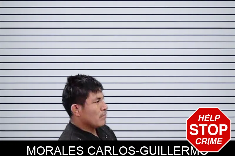 Morales Carlos-Guillermo Mugshots