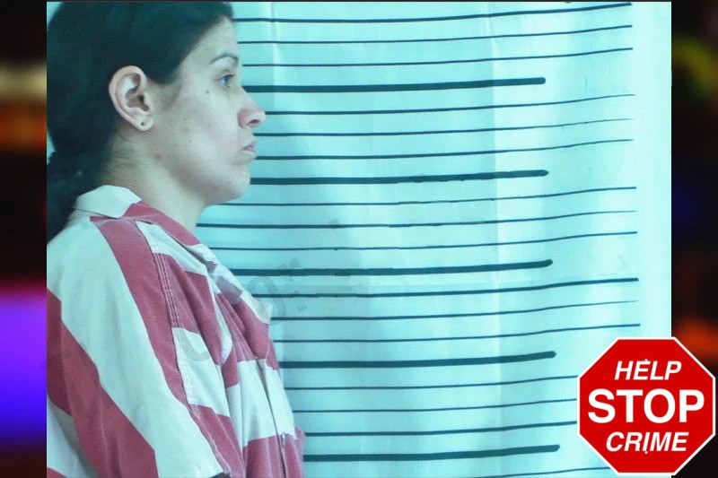 Morgan Coakley Mugshots