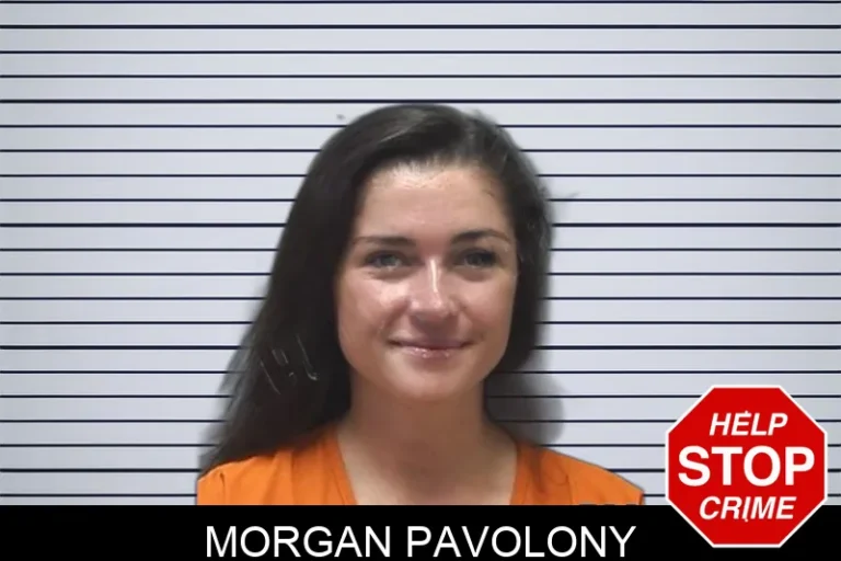 Morgan Pavolony mugshot – Cherokee County , Georgia Morgan Pavolony