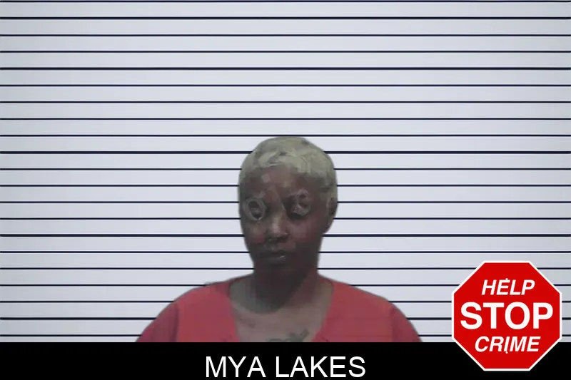 Mya Lakes mugshot – Meriwether County , Georgia Mya Lakes mugshot