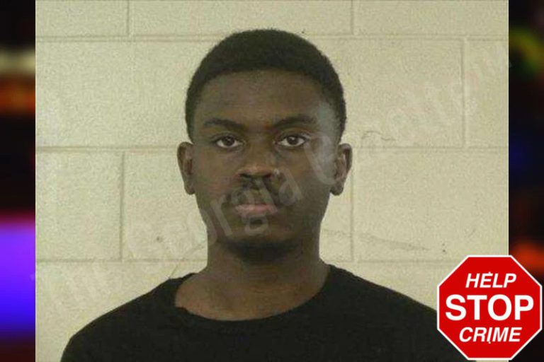 Mykel Conner mugshot – Liberty County , Georgia Mykel Conner