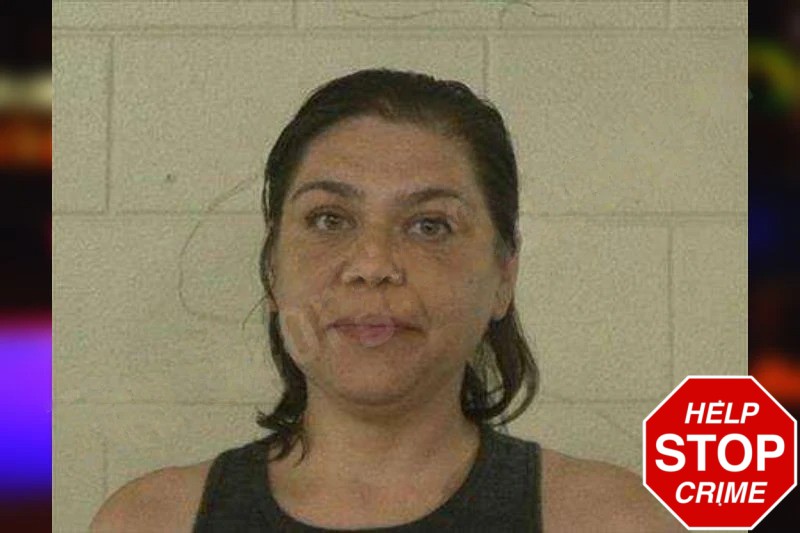 Nadezhda Williams mugshot