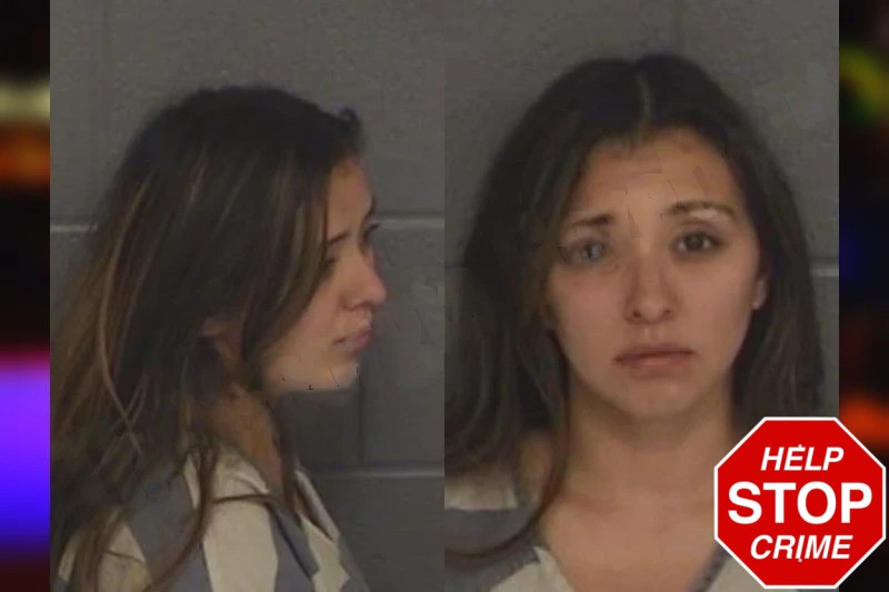 Nalleli Sanchez Resendiz Mugshots