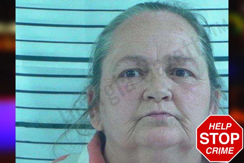 Nancy Carey Mugshots