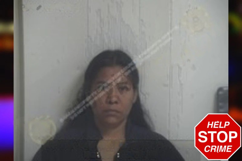 Nancy Catalan Mugshots