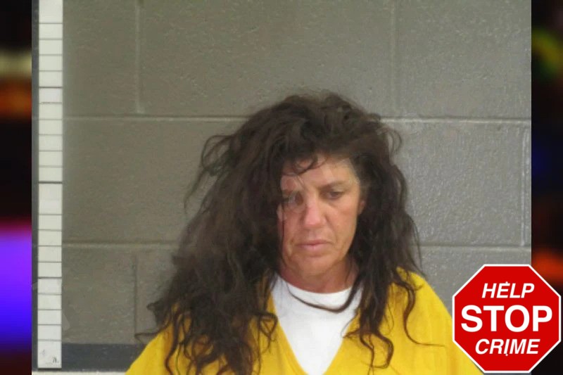 Nancy Frady Mugshots