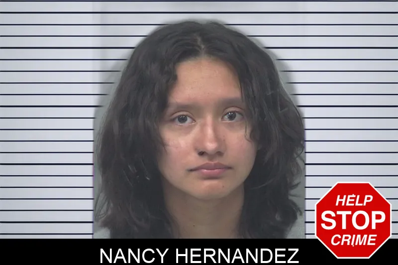 Nancy Hernandez Mugshots