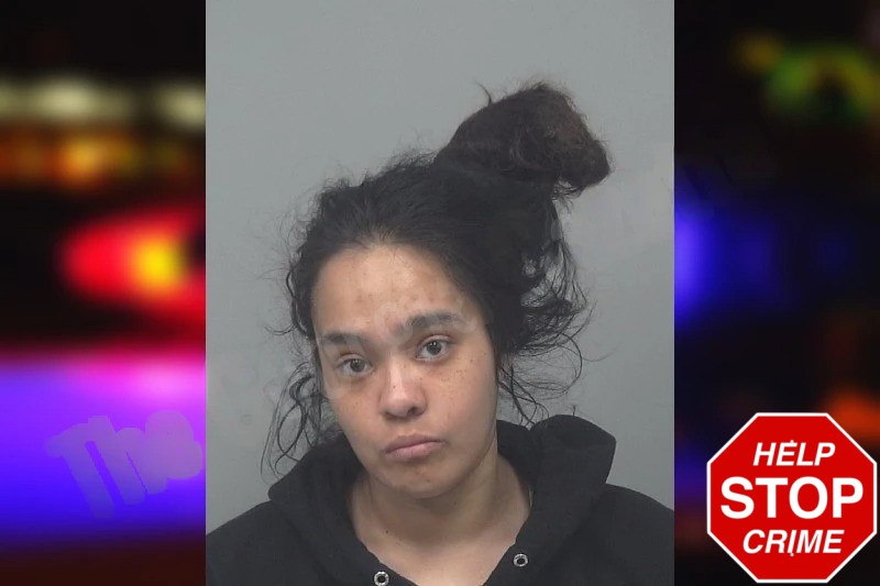 Nancy Torres mugshot