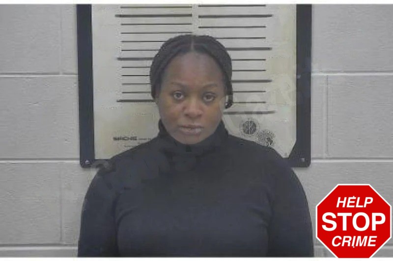 Nardreonna Wilcox mugshot – Coffee County , Georgia Nardreonna Wilcox mugshot