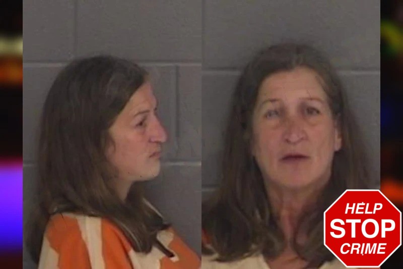Natalie Gilmer mugshot – Barrow County , Georgia Natalie Gilmer mugshot
