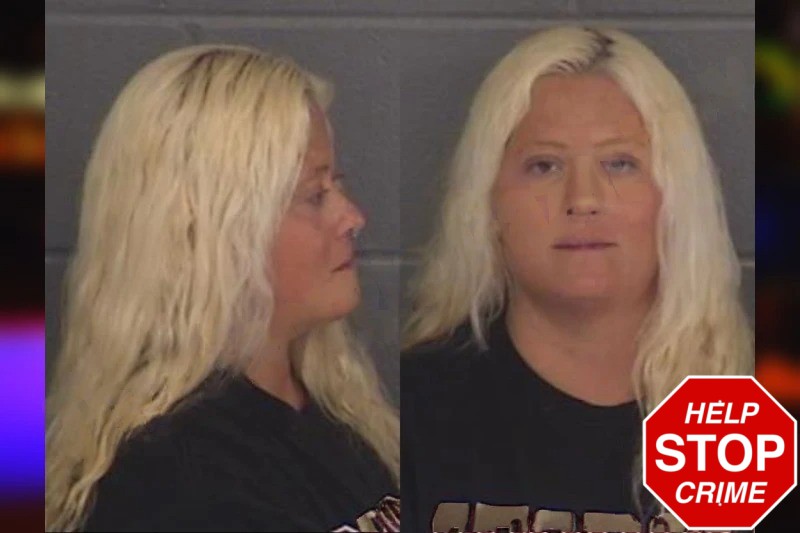 Natalie Terry mugshot – Barrow County , Georgia Natalie Terry mugshot