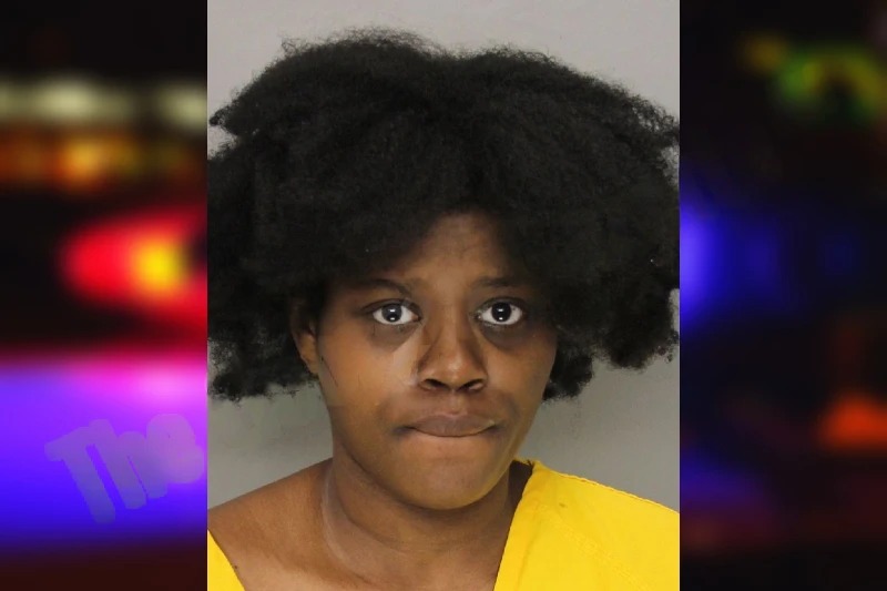 Natalie Udoye mugshot – Cobb County , Georgia Natalie Udoye mugshot