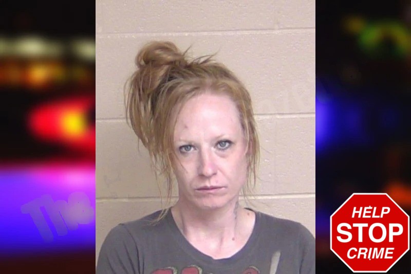 Natasha Dunn mugshot – Walker County , Georgia Natasha Dunn mugshot