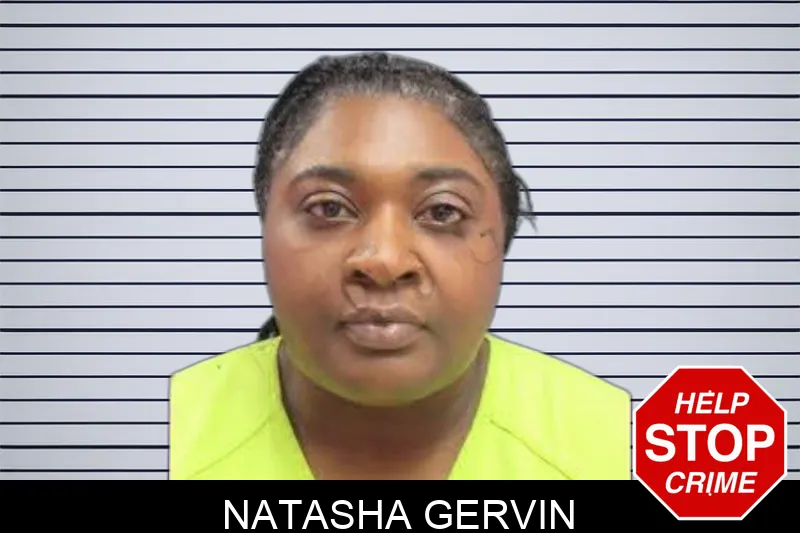 Natasha Gervin Mugshots