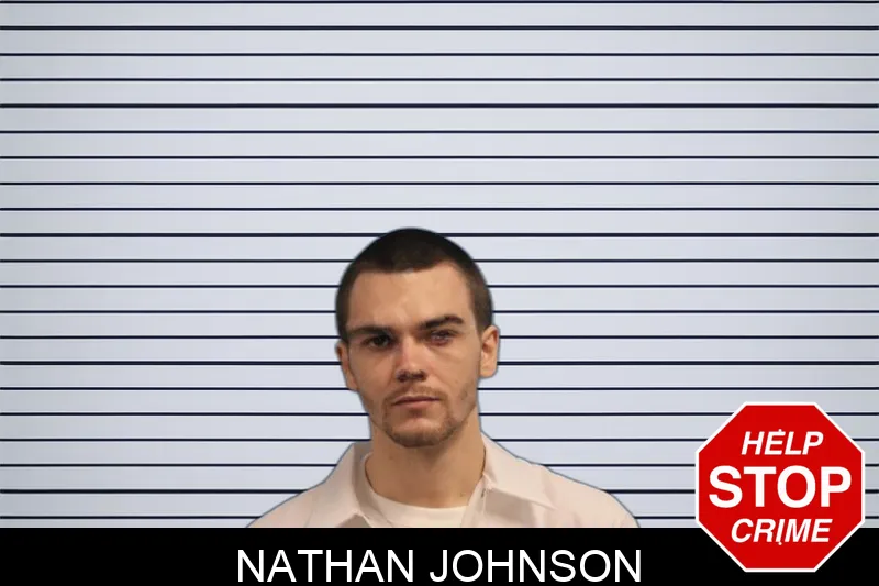 Nathan Johnson Mugshots