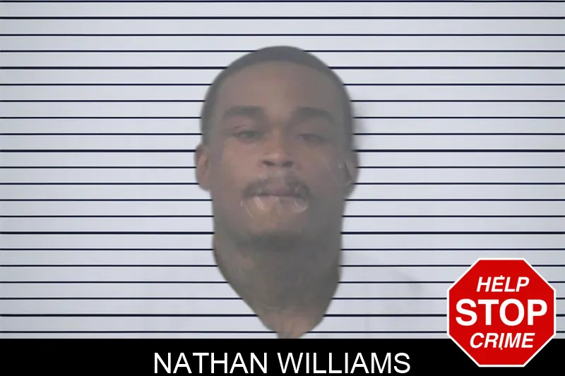 Nathan Williams Mugshots