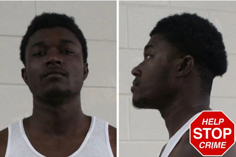 Nathaniel McWilliams mugshot