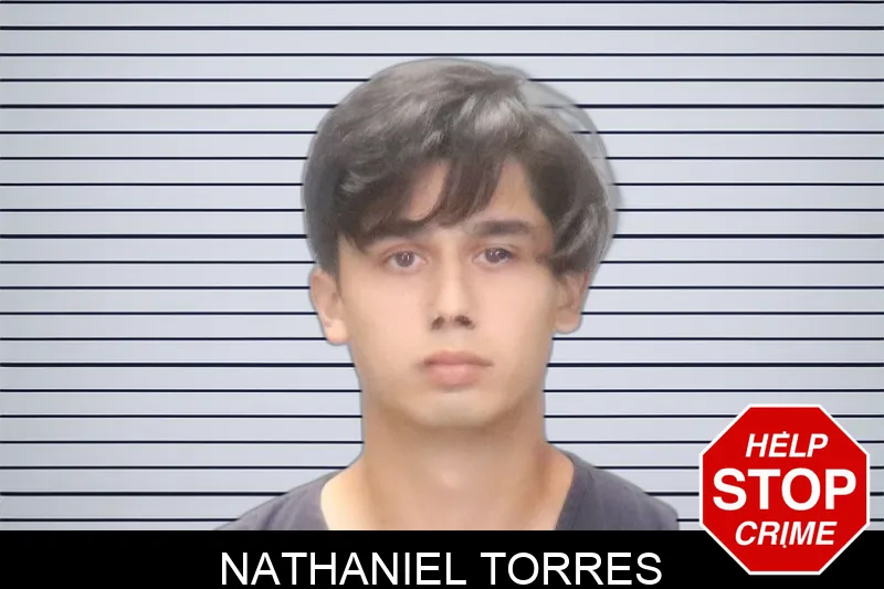 Nathaniel Torres Mugshots