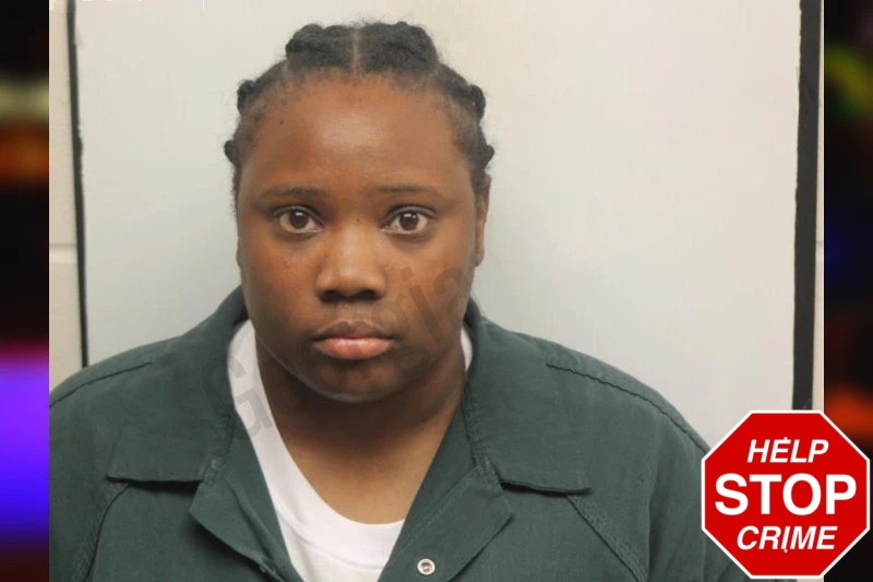 Nautica Johnson mugshot – Chatham County , Georgia Nautica Johnson mugshot