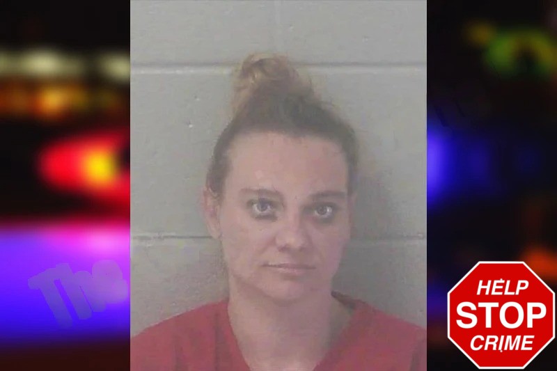 Nedra Davis Mugshots