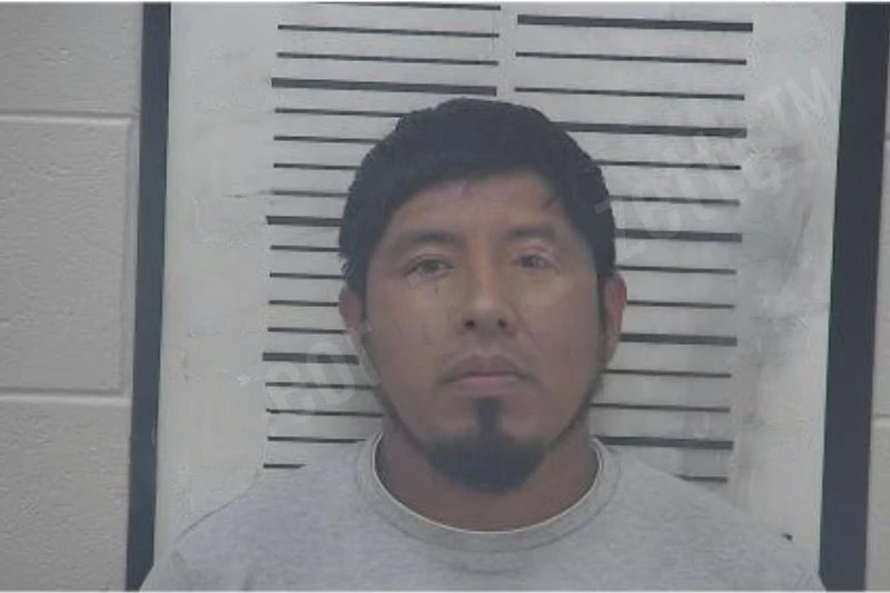 Nerit Gonzalez Hernandez mugshot – Coffee County , Georgia Nerit Gonzalez Hernandez mugshot