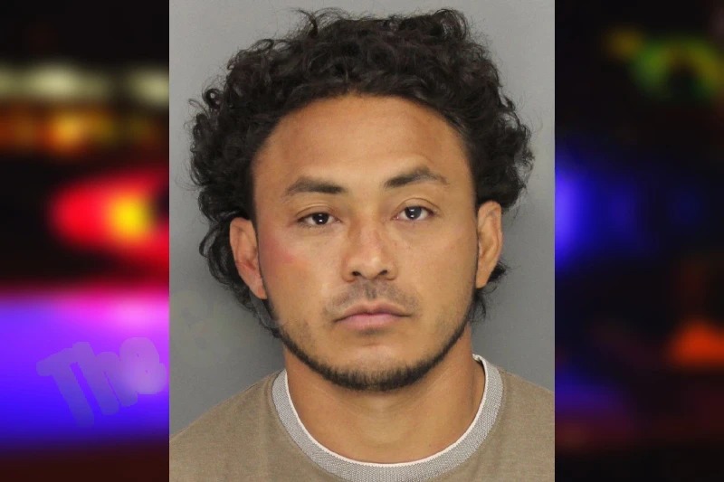 Nerlin Alvarez mugshot