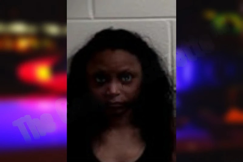 Nia Conner mugshot – Henry County , Georgia Nia Conner mugshot