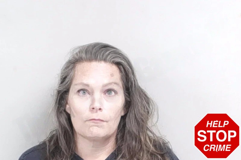 Nichole Dixon Mugshots