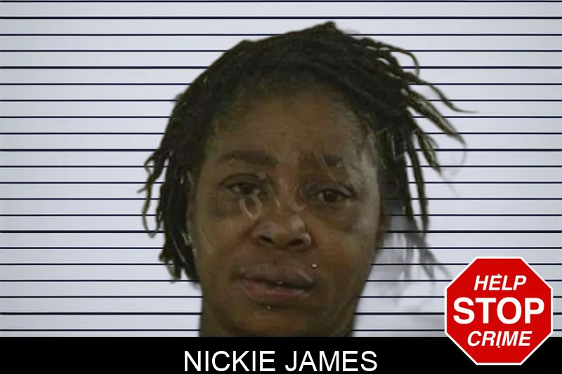 Nickie James Mugshots