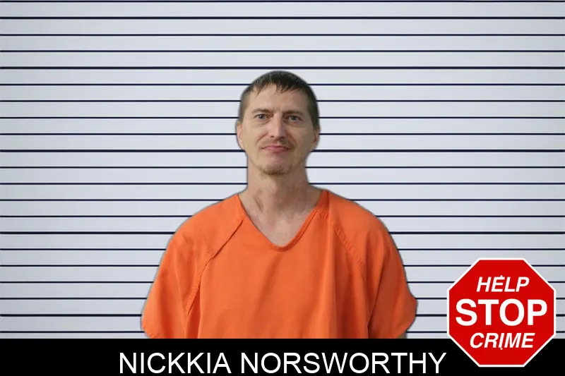 Nickkia Norsworthy Mugshots