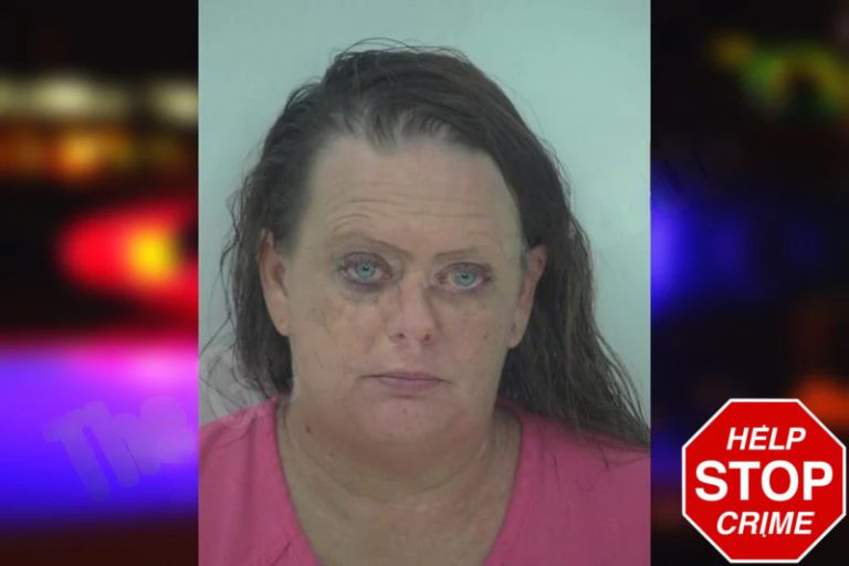 Nickole Holmes mugshot – Fayette County , Georgia Nickole Holmes