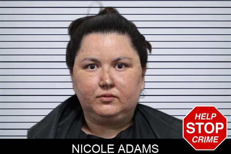 Nicole Adams Mugshots