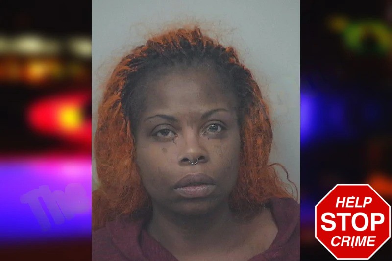 Nicole Brooks mugshot