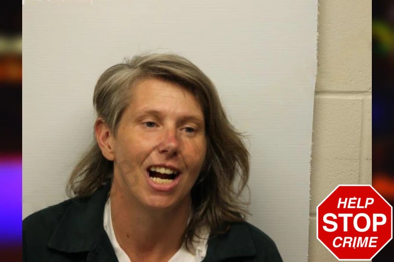 Nicole Brown Mugshots