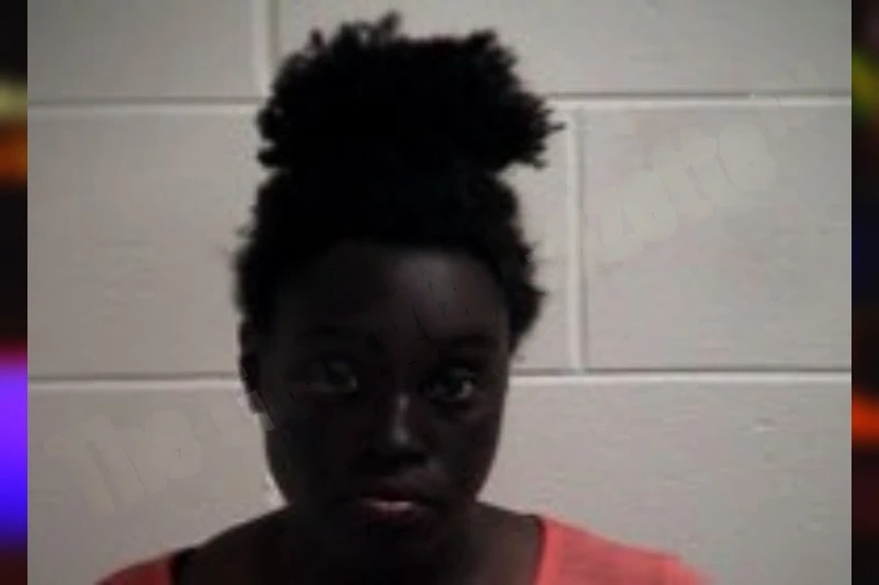 Nicole Evans mugshot – Henry County , Georgia Nicole Evans mugshot