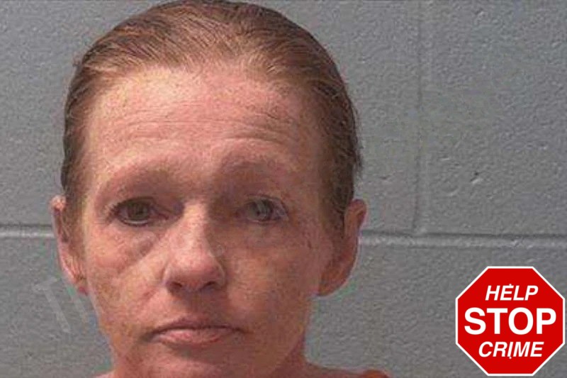 Nicole Nixon mugshot – Franklin County , Georgia Nicole Nixon mugshot