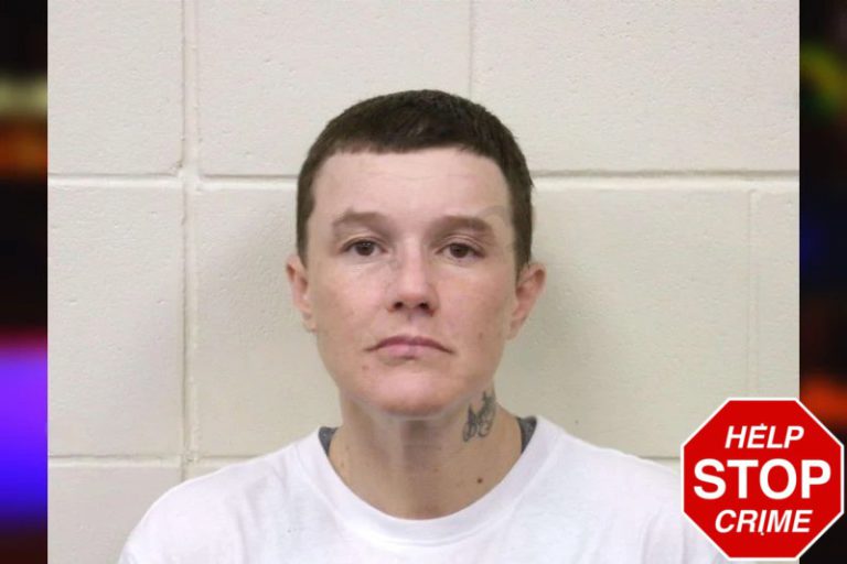 Nicole Patten mugshot – Bulloch County , Georgia Nicole Patten