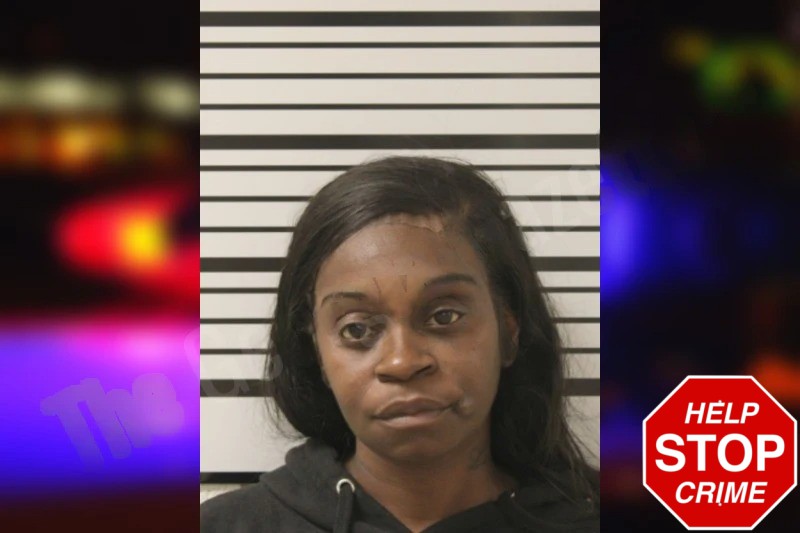 Nicole Prince Mugshots