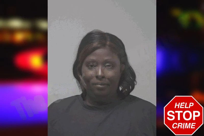 Nicole Stiller Mugshots